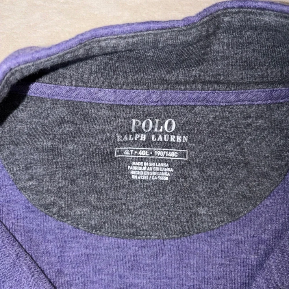 Polo Ralph Lauren Mens 4LT Purple Heather Quarter Zip Pullover Pony Logo Sweater